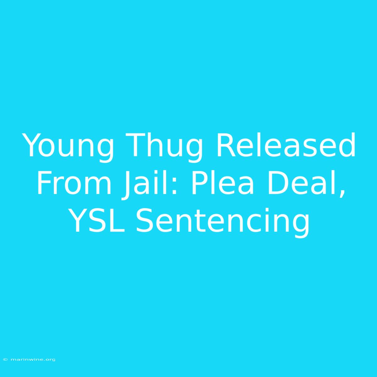 Young Thug Released From Jail: Plea Deal, YSL Sentencing