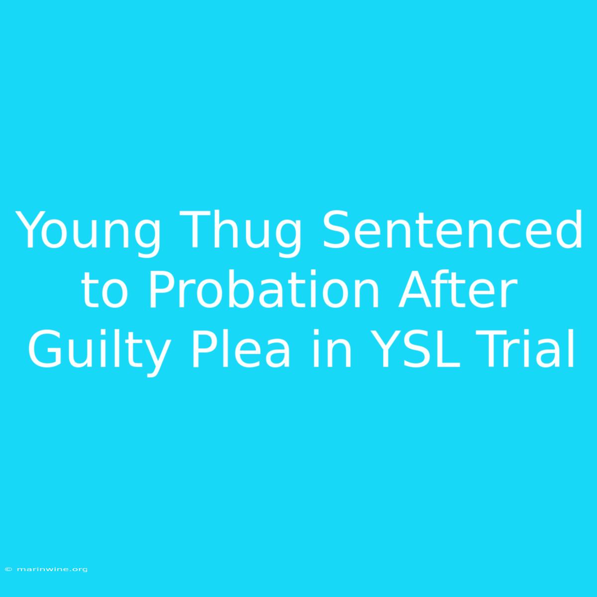 Young Thug Sentenced To Probation After Guilty Plea In YSL Trial 