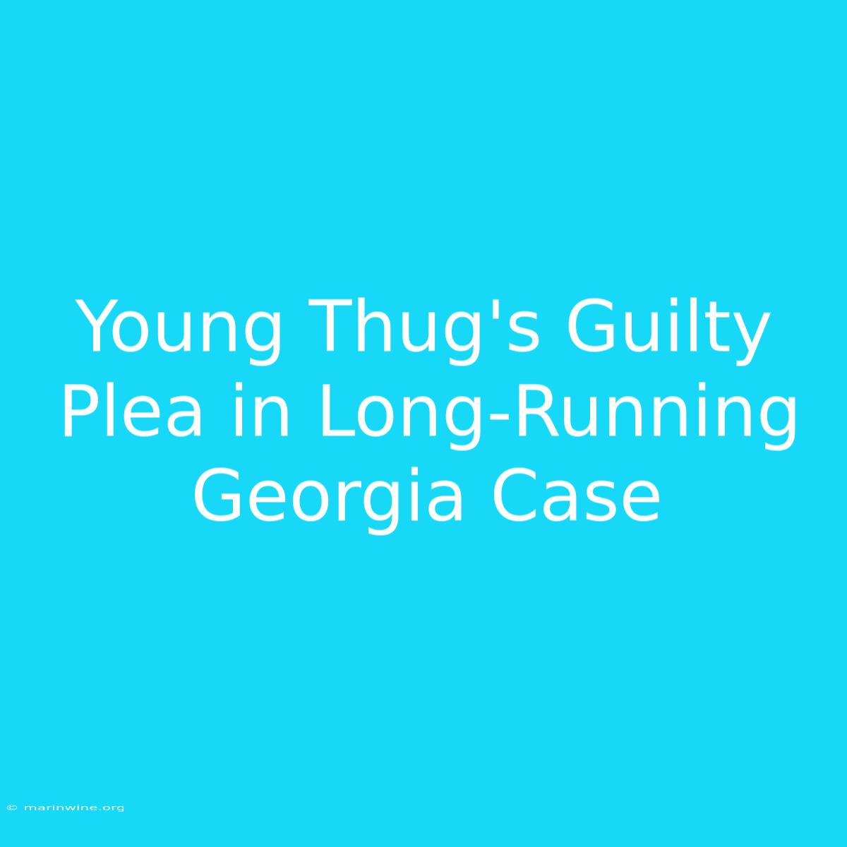 Young Thug's Guilty Plea In Long-Running Georgia Case