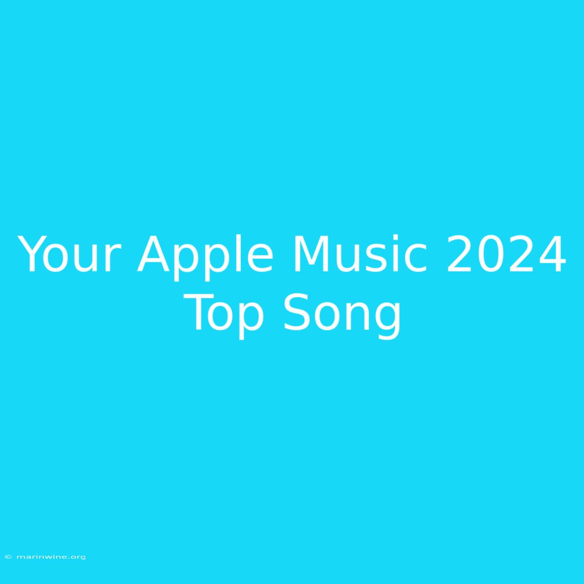 Your Apple Music 2024 Top Song