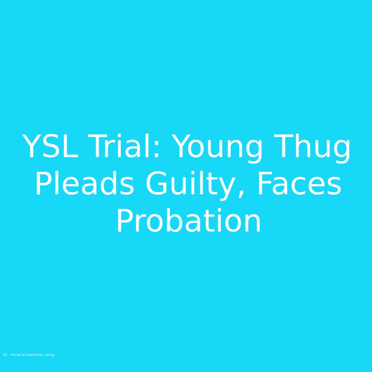 YSL Trial: Young Thug Pleads Guilty, Faces Probation