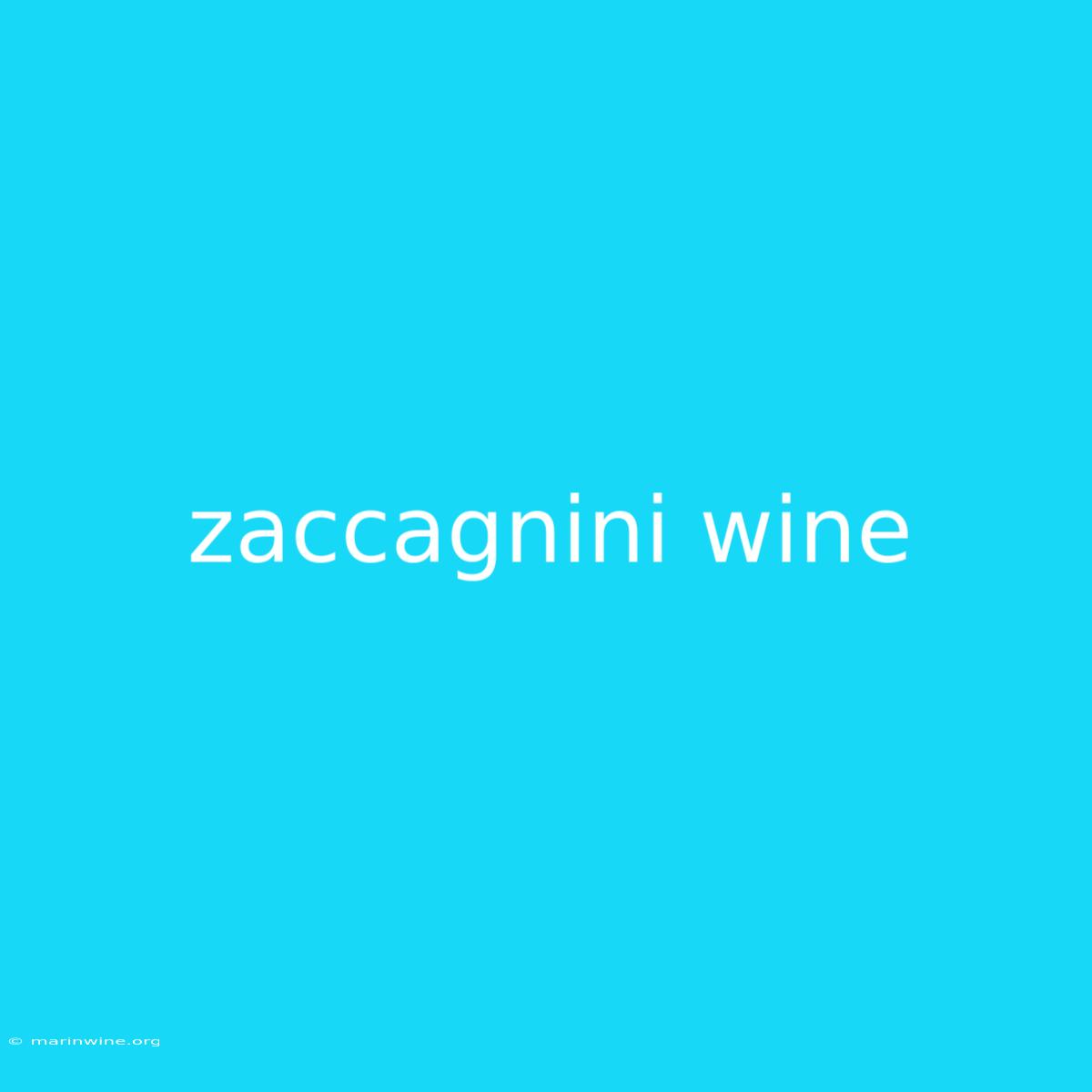 Zaccagnini Wine