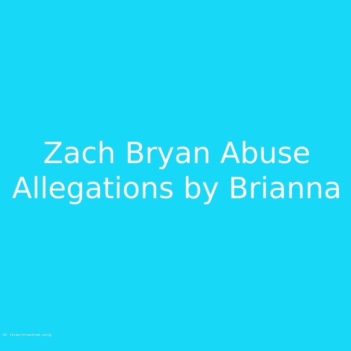 Zach Bryan Abuse Allegations By Brianna 