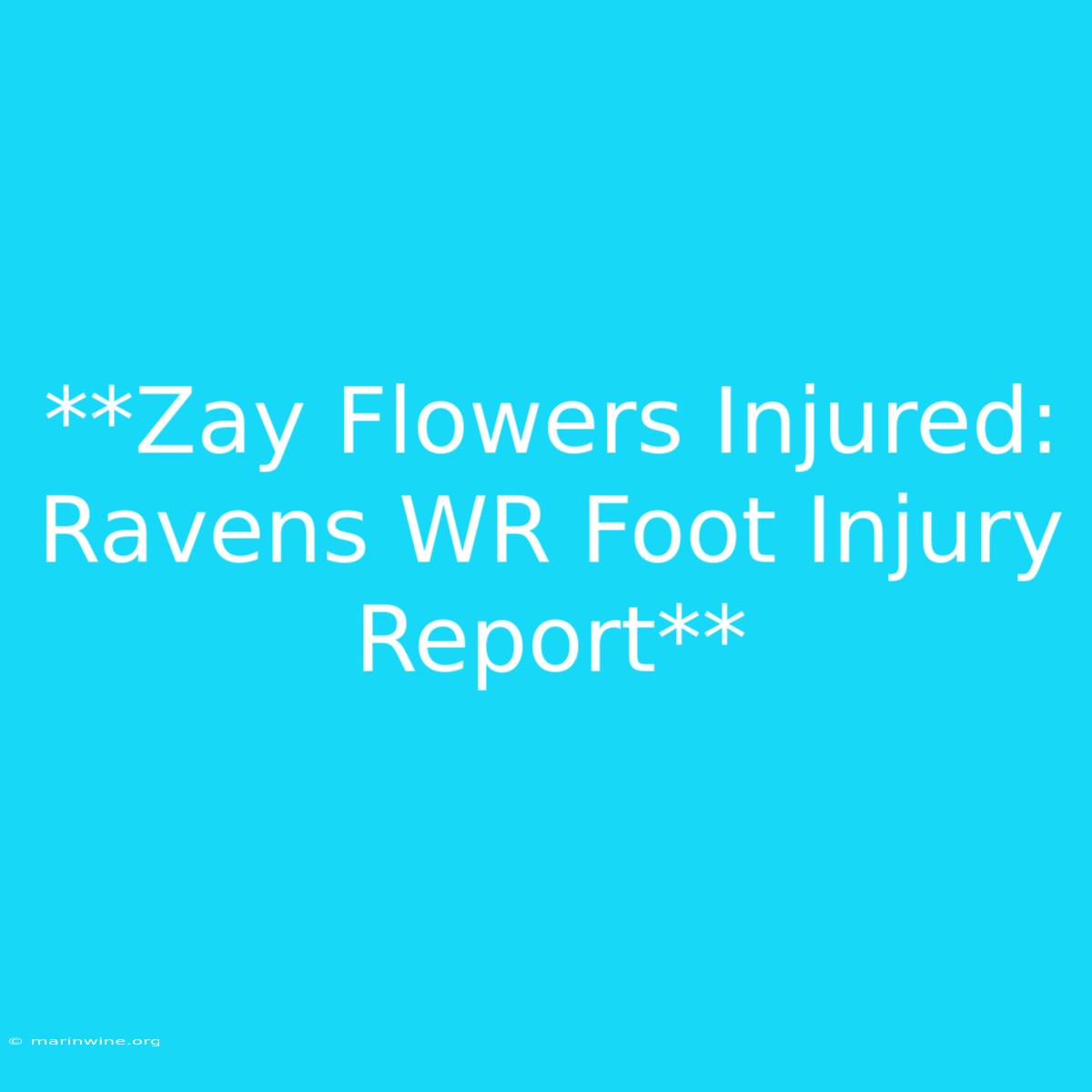 **Zay Flowers Injured: Ravens WR Foot Injury Report** 