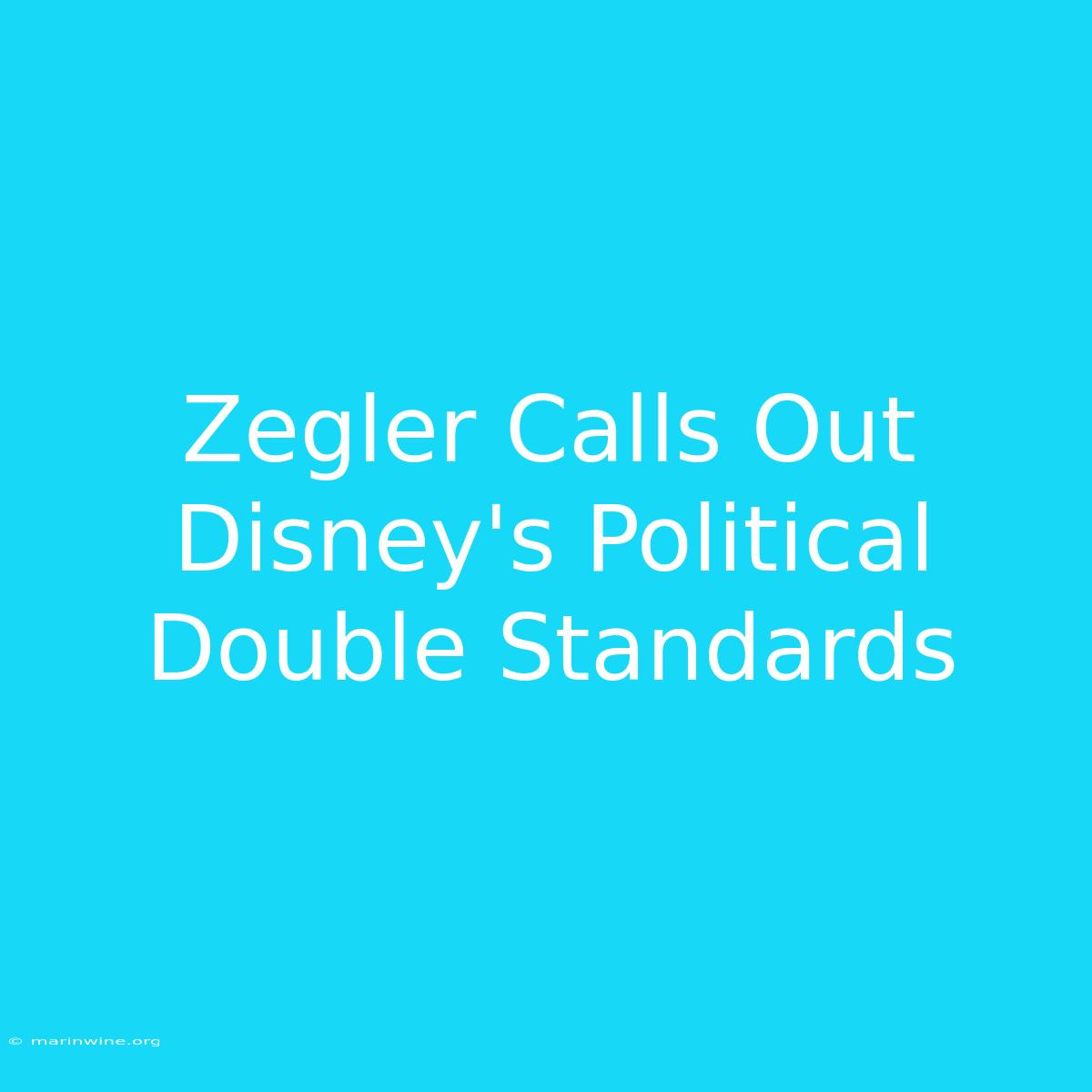 Zegler Calls Out Disney's Political Double Standards