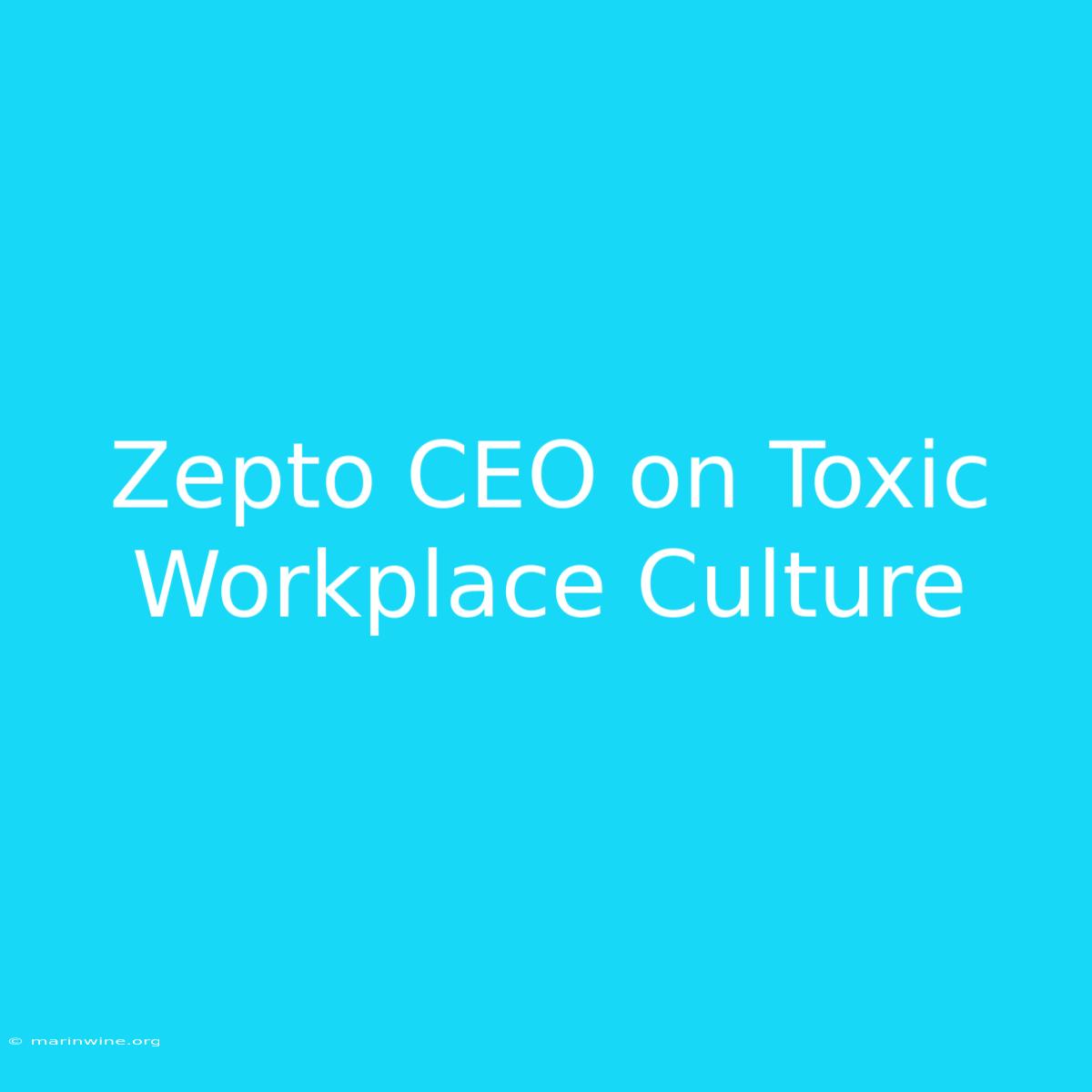 Zepto CEO On Toxic Workplace Culture