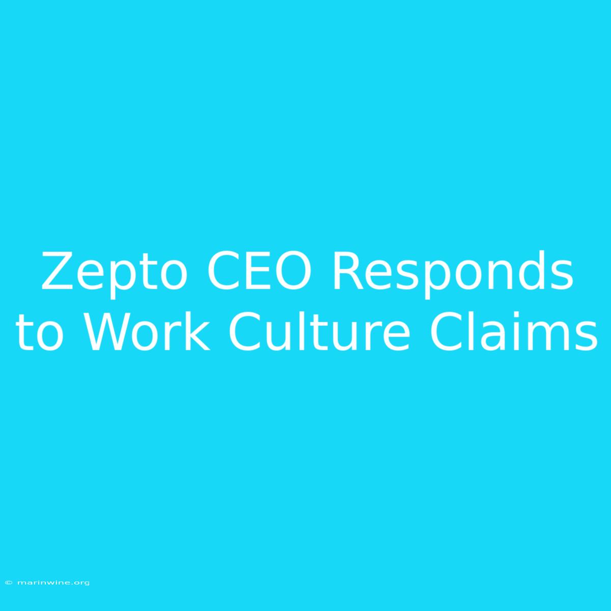 Zepto CEO Responds To Work Culture Claims