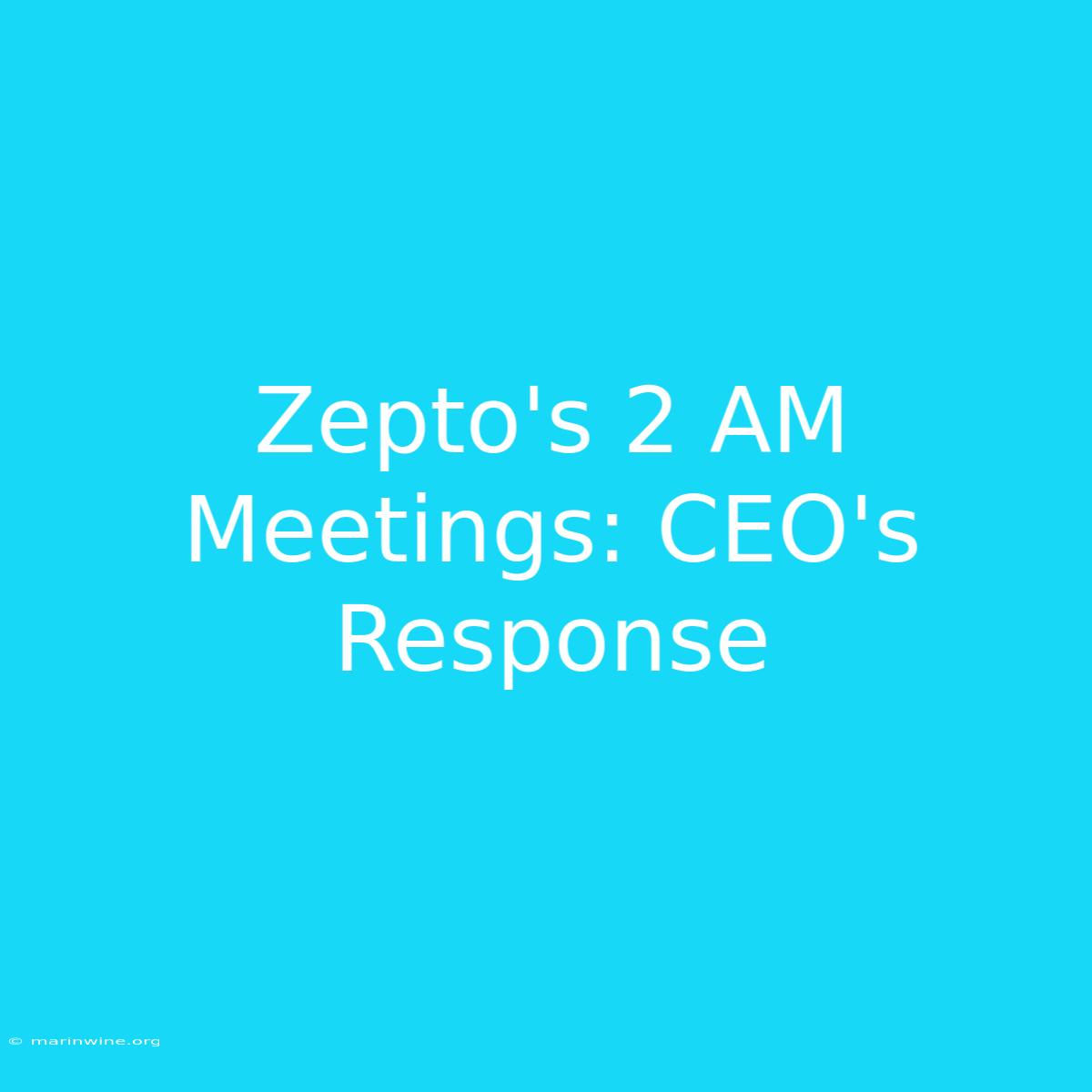 Zepto's 2 AM Meetings: CEO's Response