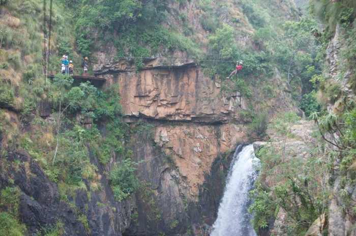 Cape canopy tour south africa